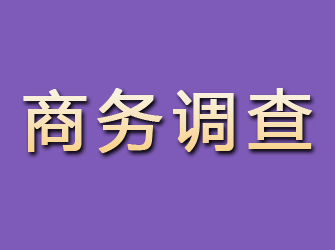 紫阳商务调查